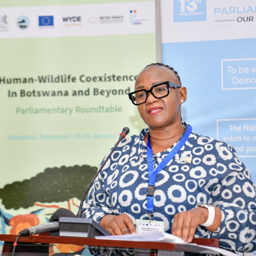 Hon. Helen Pushy Manyeneng, Deputy Speaker of the National Assembly of Botswana