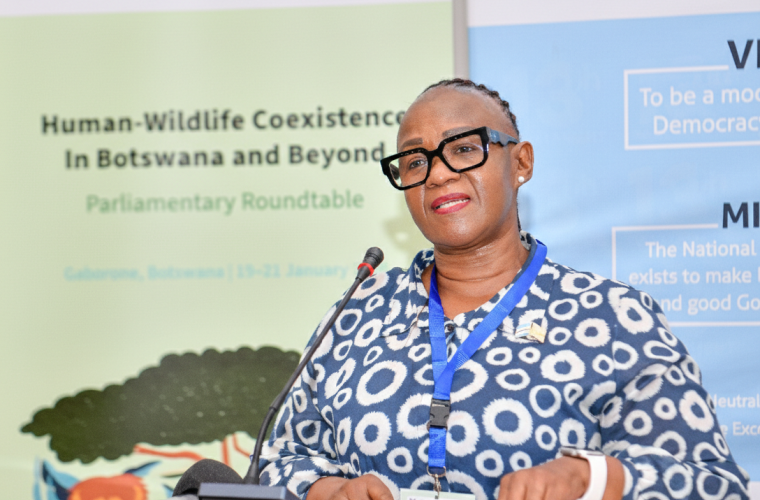 Hon. Helen Pushy Manyeneng, Deputy Speaker of the National Assembly of Botswana