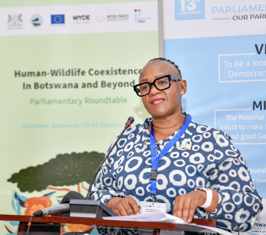 Hon. Helen Pushy Manyeneng, Deputy Speaker of the National Assembly of Botswana. Photo Courtesy Bright Khumanego, BW Parliament