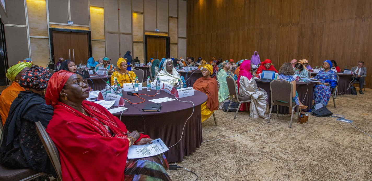 Niger Women’s Parliamentary Network share experiences with Parliaments around the world on advancing gender equality 