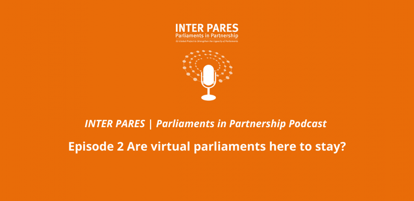 INTER PARES Parliaments in Partnership – Episode 2 Are virtual parliaments here to stay?