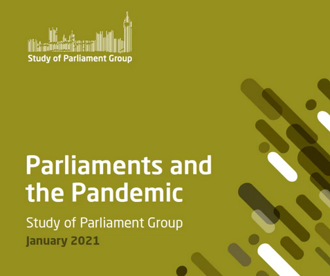 Parliaments and the Pandemic report image